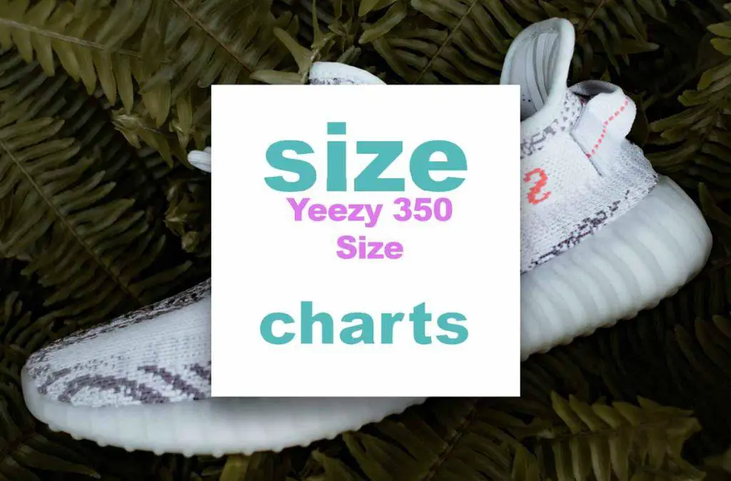 Yeezy 350 size chart: Are Yeezys 350 true to size?