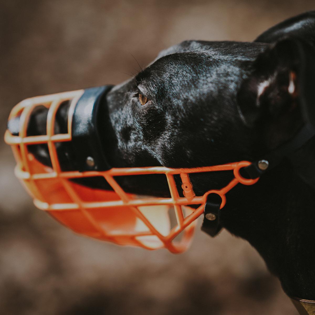 Baskerville Muzzle Size - Flexible Fit For Comfortable Pets