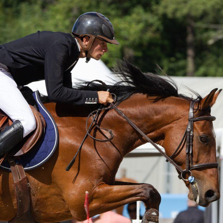 Horse Helmet Size Chart and fitting guide When size