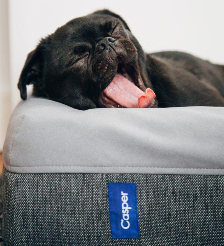 Dog Bed Sizing Guide Choosing the Right Bed Size for Your Dog
