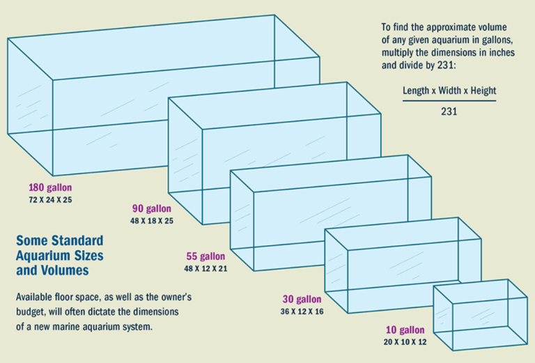 Aquarium Size and dimension by use and type of fish - Size-Charts.com ...