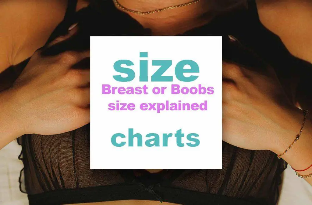 Breast size chart: how to find my boob size