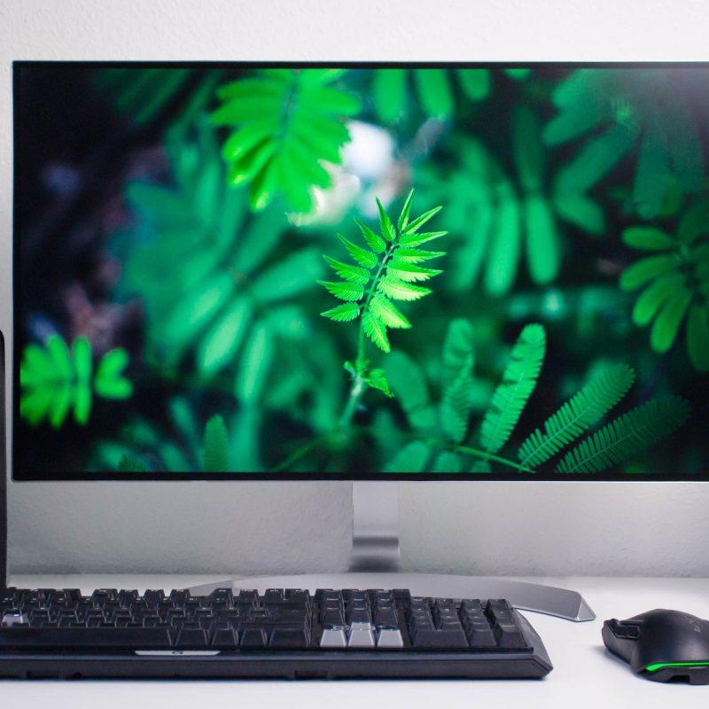 iPhone 13 Pro Max Screen Size Chart vs Other iPhone Dimensions