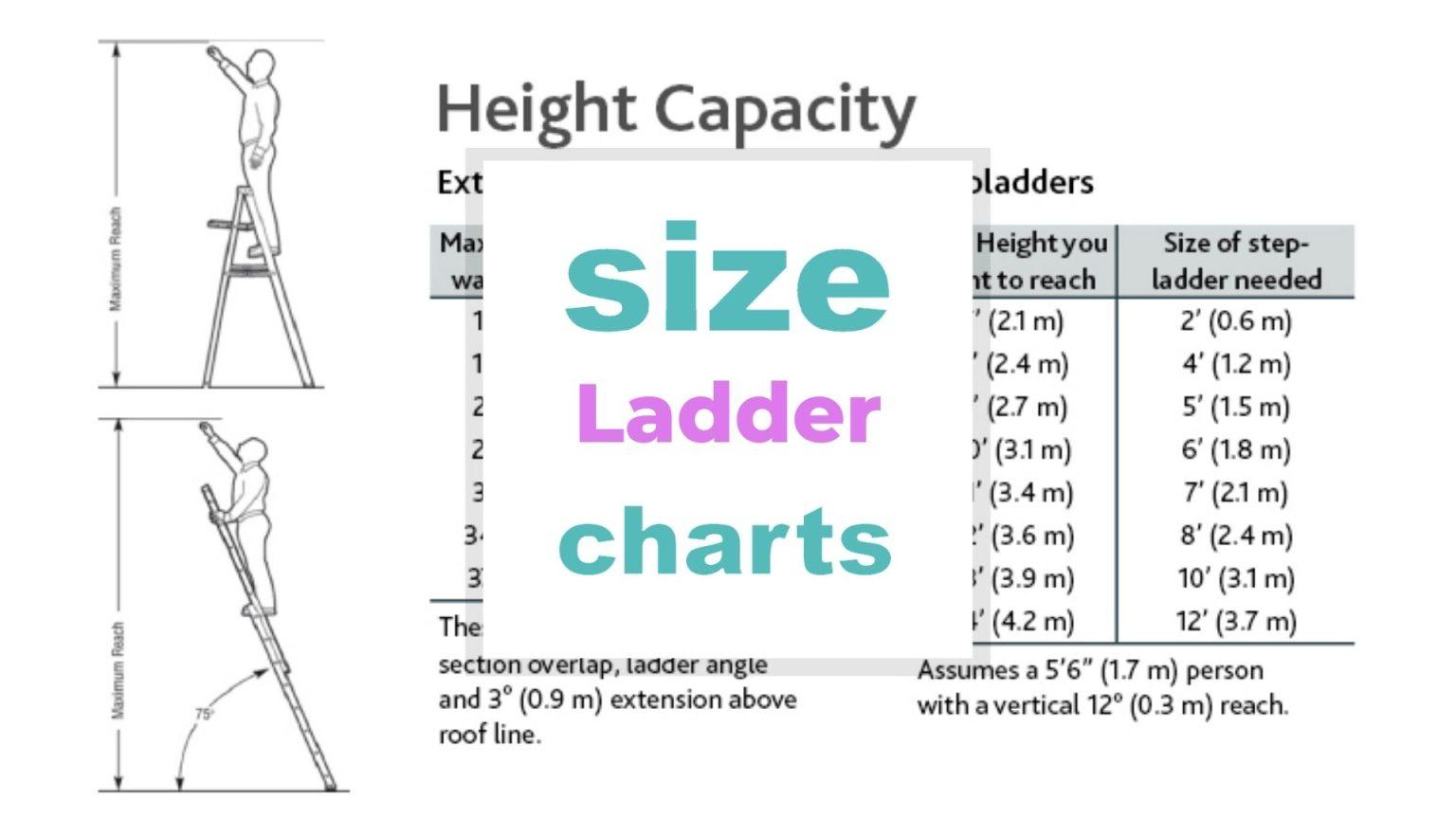 Ladder Size Chart and Dimensions What size of ladder do I need?