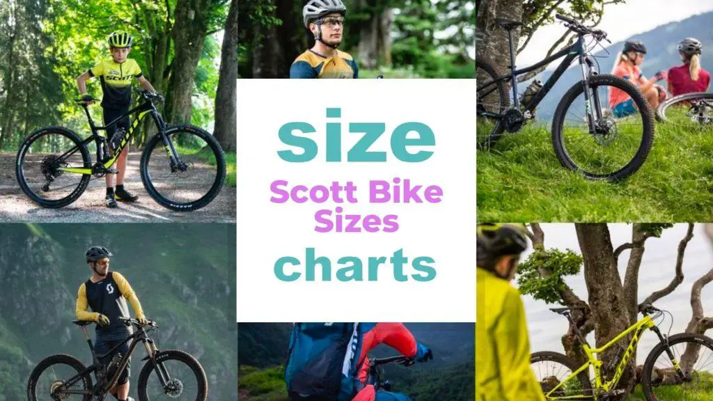 Scott Bike Sizes and charts size-charts.com