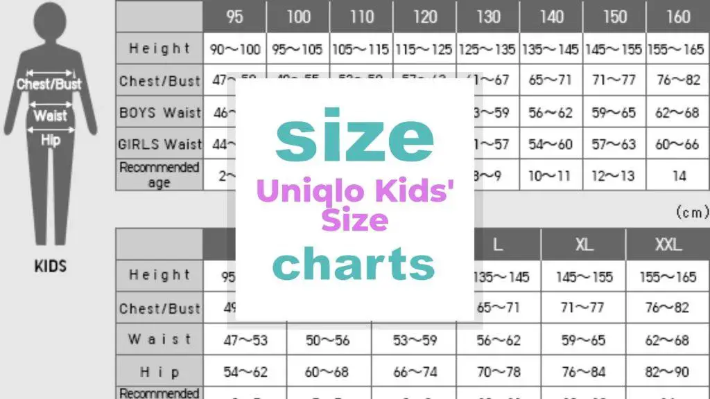 Uniqlo Kids' Size and charts size-charts.com
