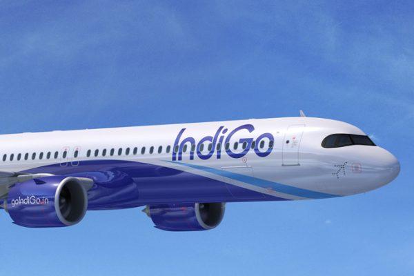 indigo-airline-sizes-luggage-seats
