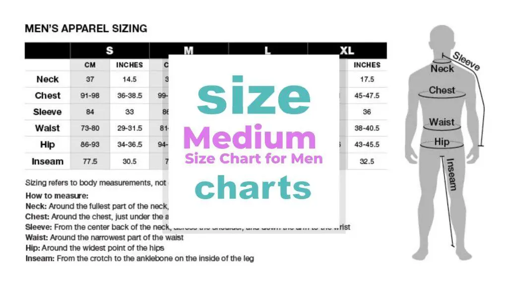 Medium Size Chart for Men (in clothes, belt,...) size-charts.com