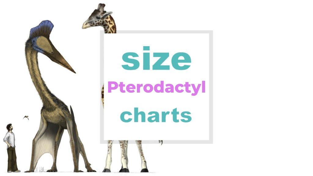 Pterodactyl Size size-charts.com