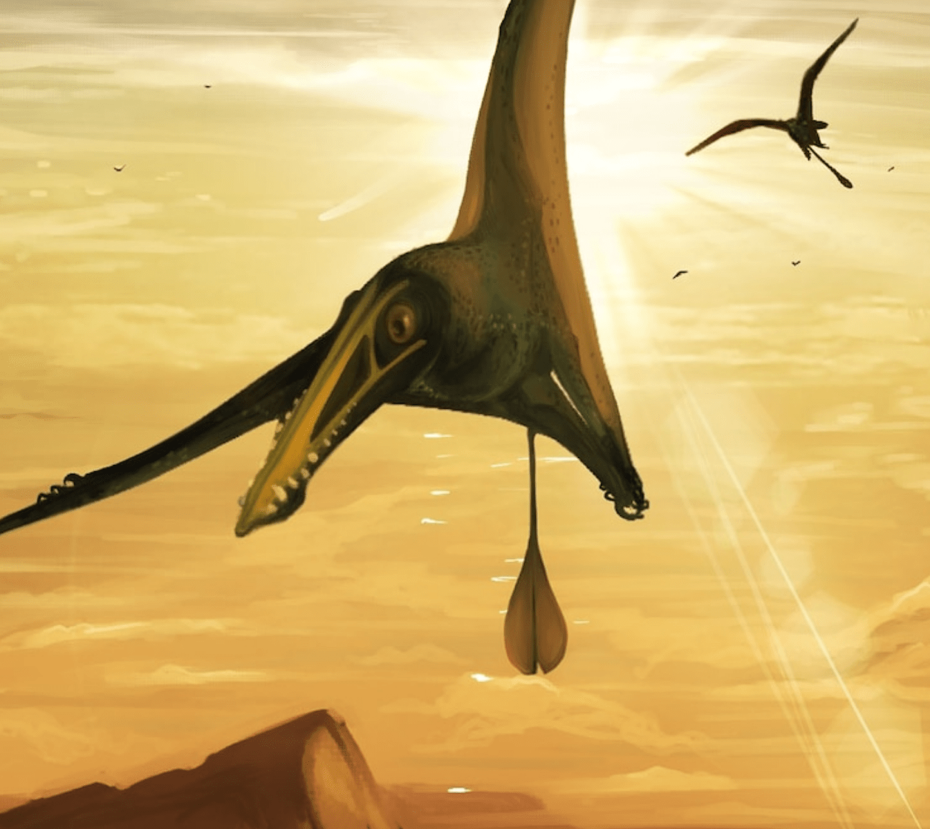 Pterodactyl Size - Size-Charts.com