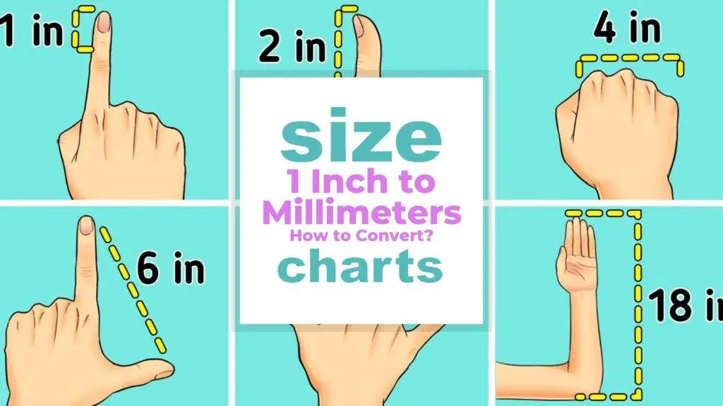 1 Inch to Millimeters - How to Convert? size-charts.com