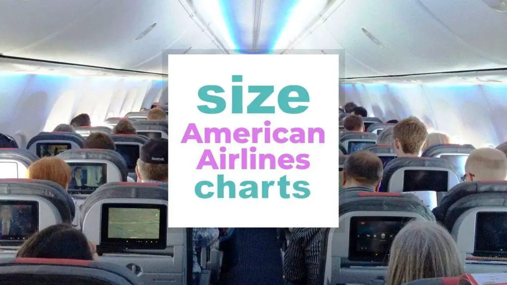American Airlines Sizes: Luggage, Seats size-charts.com