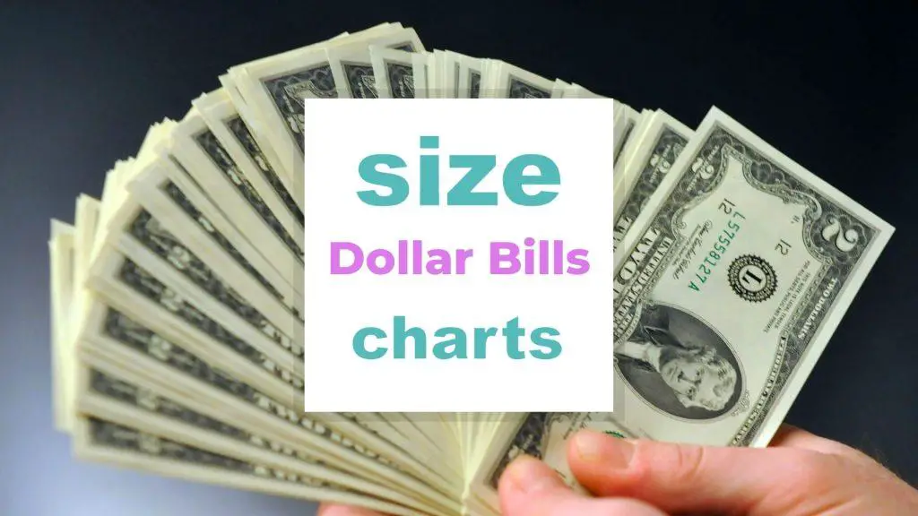 Dollar Bills Size Chart size-charts.com