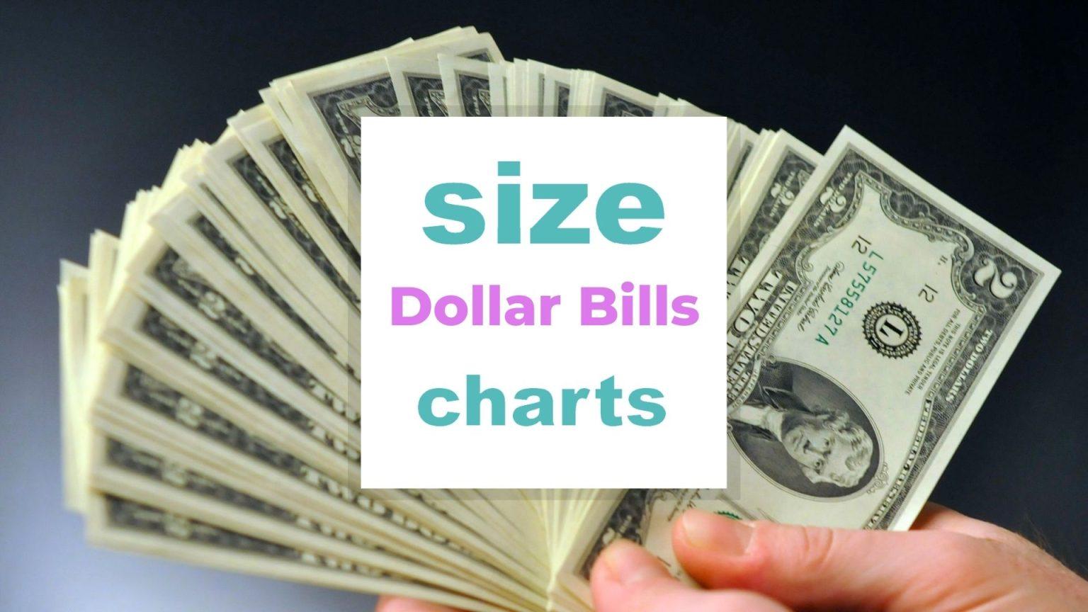 Dollar Bills Size Chart When size matters