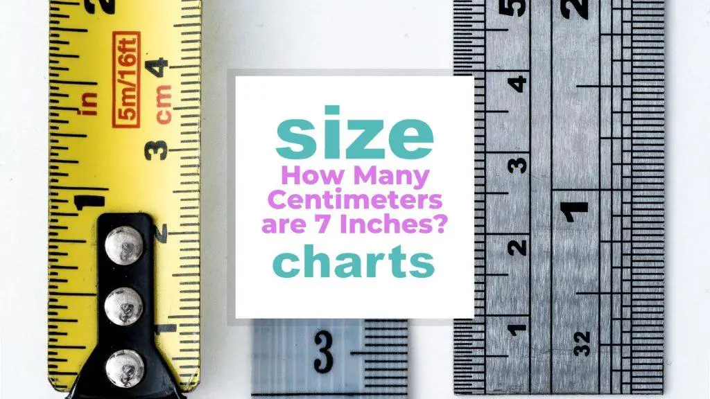 How Many Centimeters are 7 Inches? size-charts.com