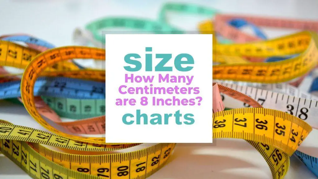 How Many Centimeters are 8 Inches? size-charts.com