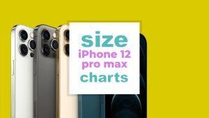 iphone 12 pro screen size same as