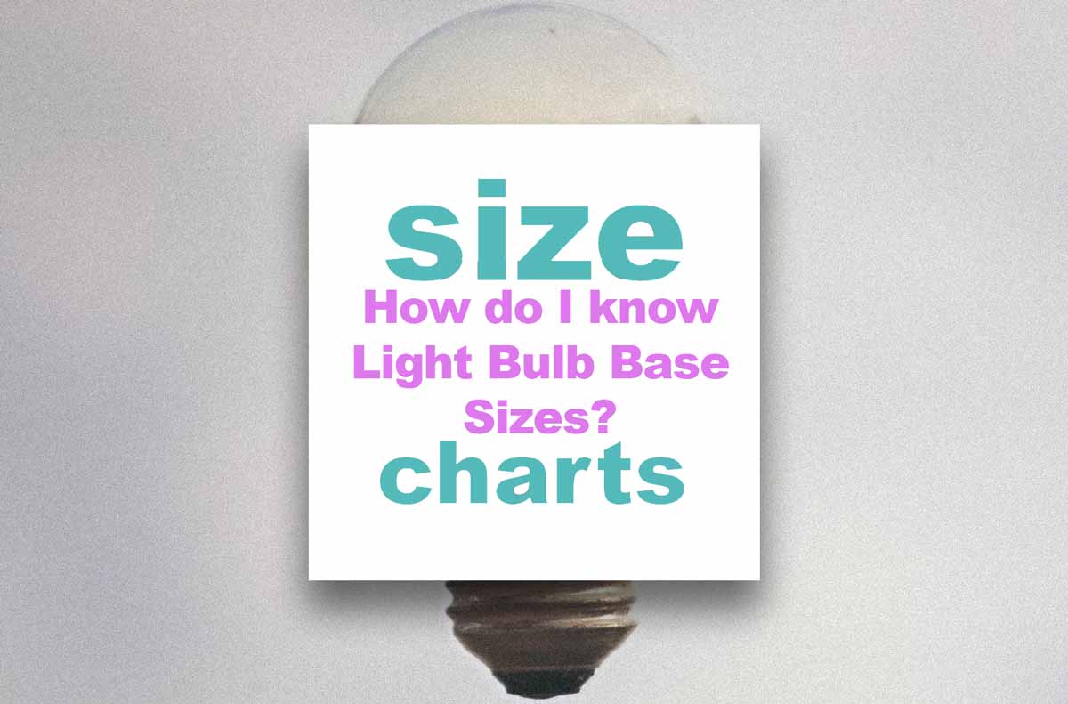 Light Bulb Base Sizes What size light bulb base do I need?