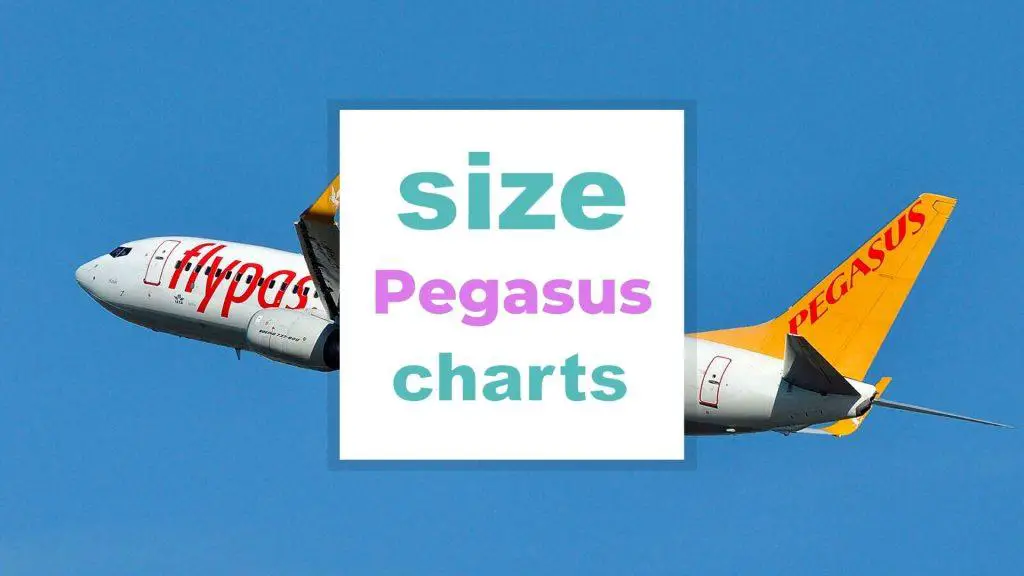 Pegasus Airlines Sizes: Luggage, Seats... size-charts.com