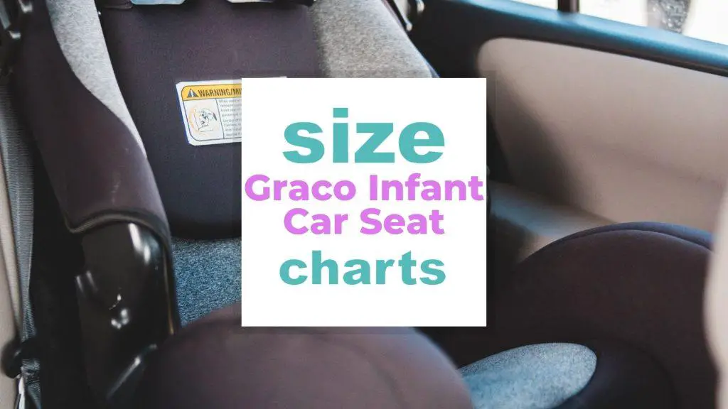 Graco Infant Car Seat Size and How to Install It size-charts.com