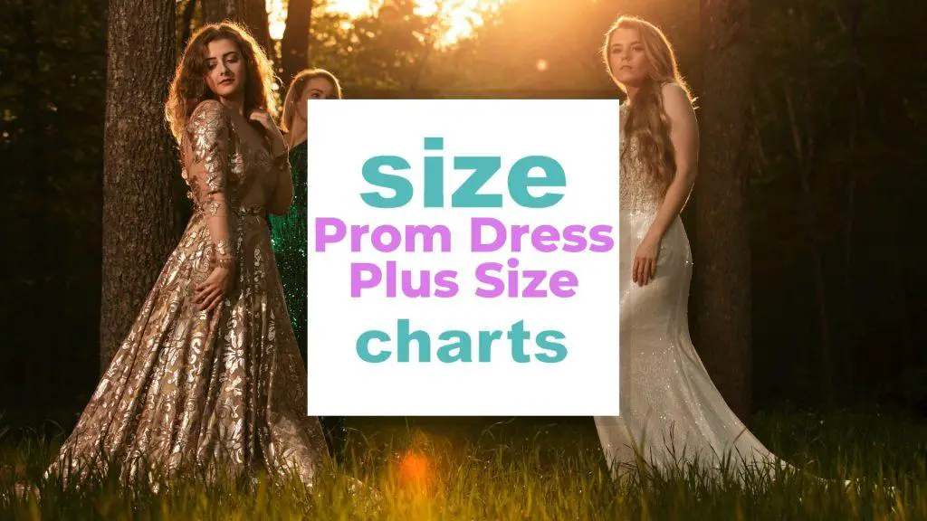 Prom Dresses Plus Size Chart for an Important Night-out! size-charts.com
