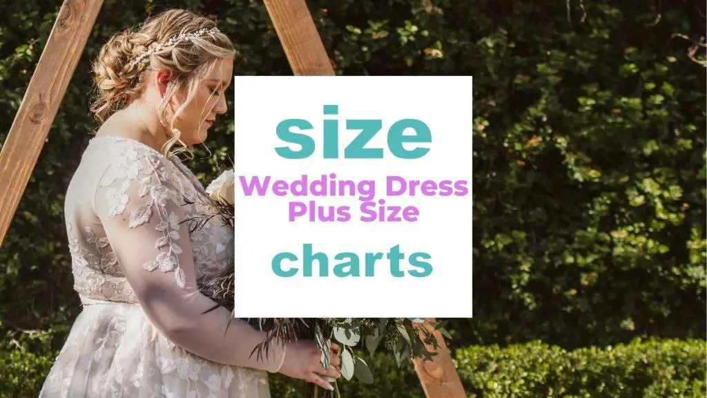 Wedding Dress Plus Size Guide And Fitting Tips size-charts.com