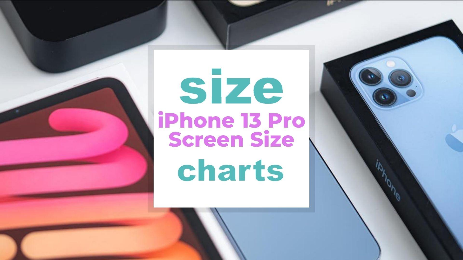 iPhone 13 Pro Screen Size Chart Explained vs Other iPhones