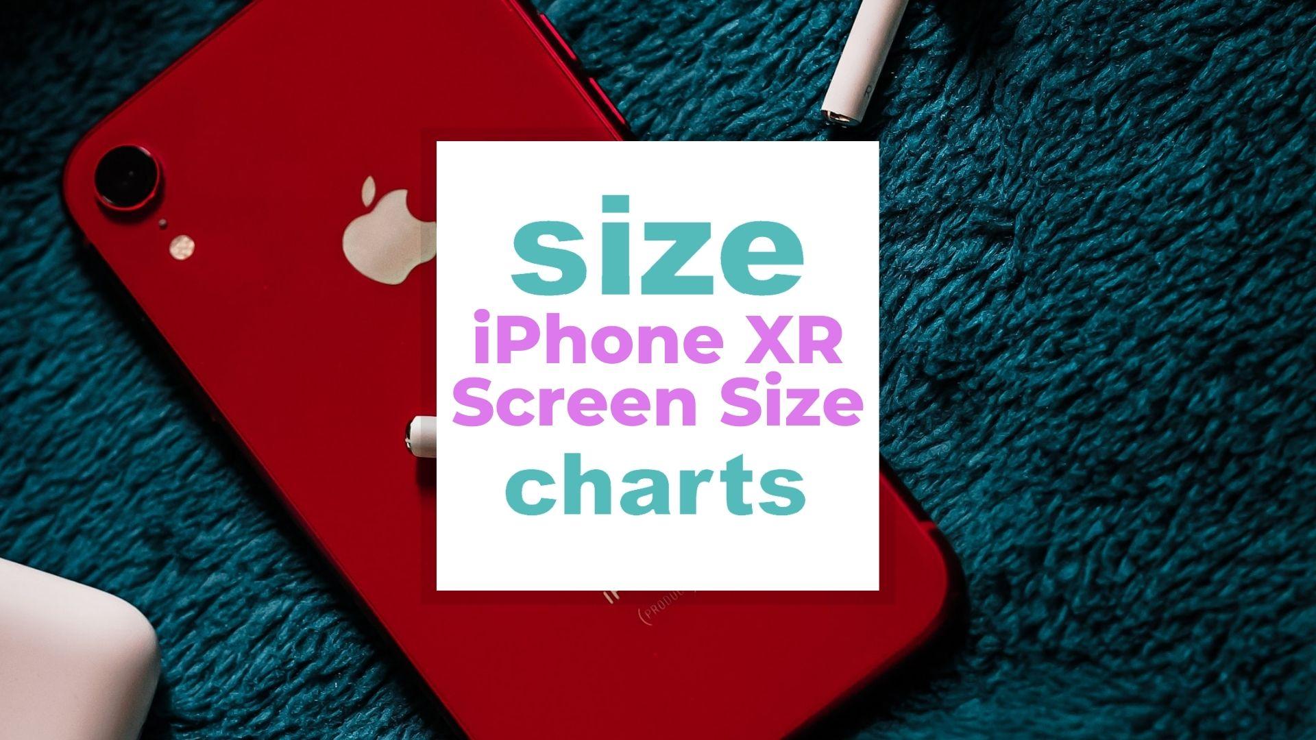 iphone xr screen size same as iphone 13