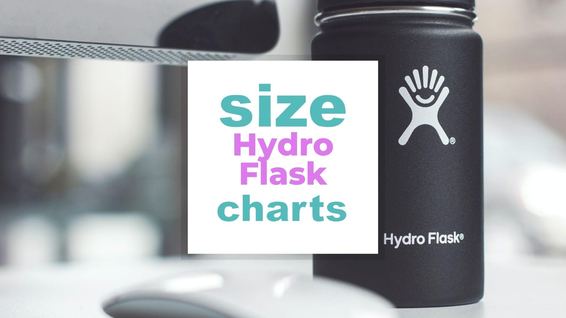 Hydro Flask Size Chart By Type Volume And Usage Size When Size Matters 4452
