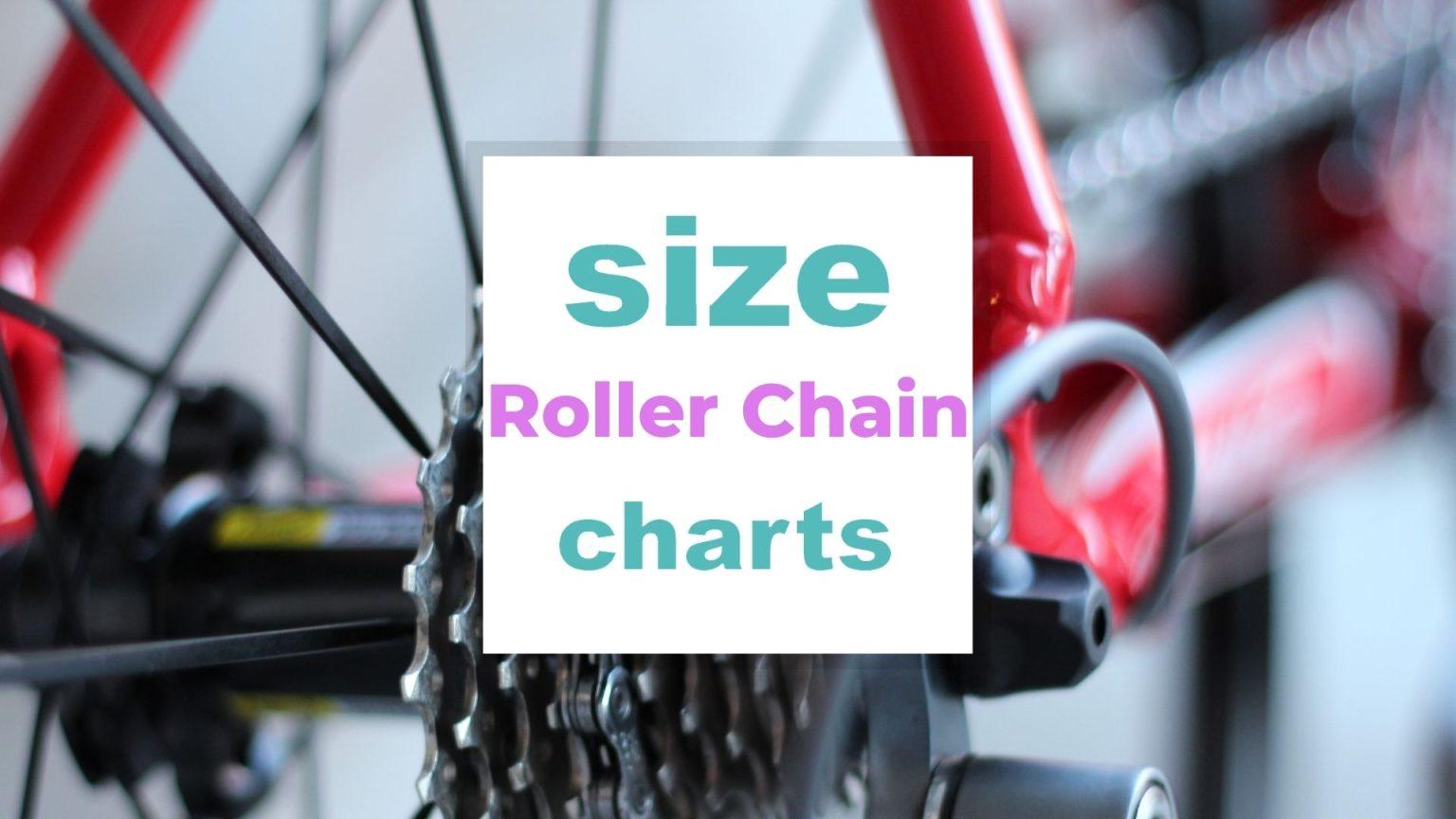 Roller Chain Size Chart: How do I know the Roller Chain Size?