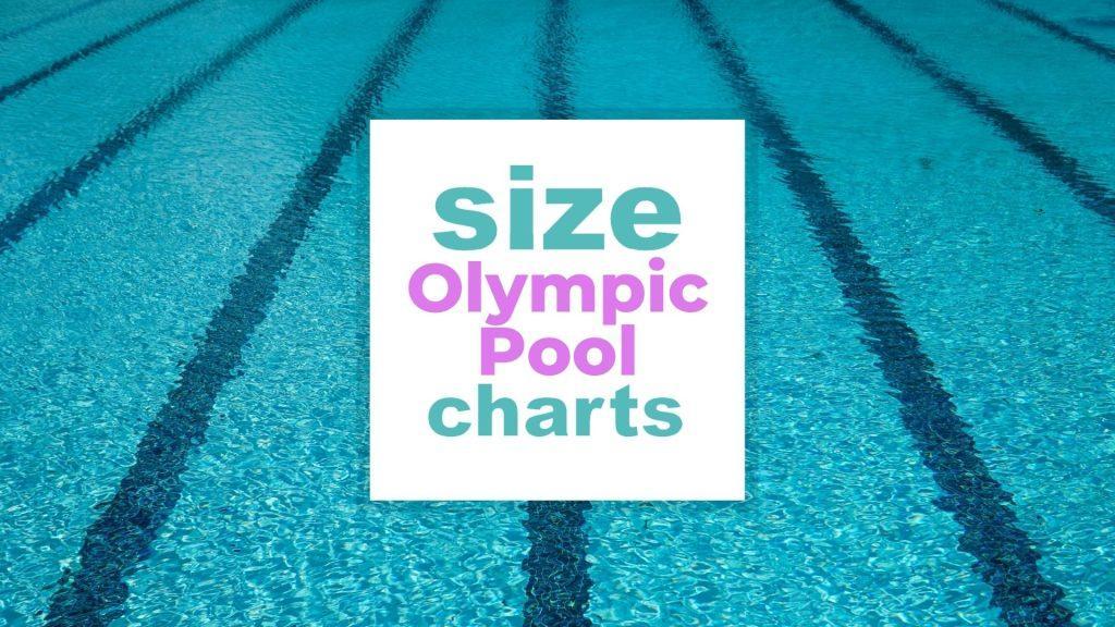 Olympic Pool Size and Dimensions Explained size-charts.com