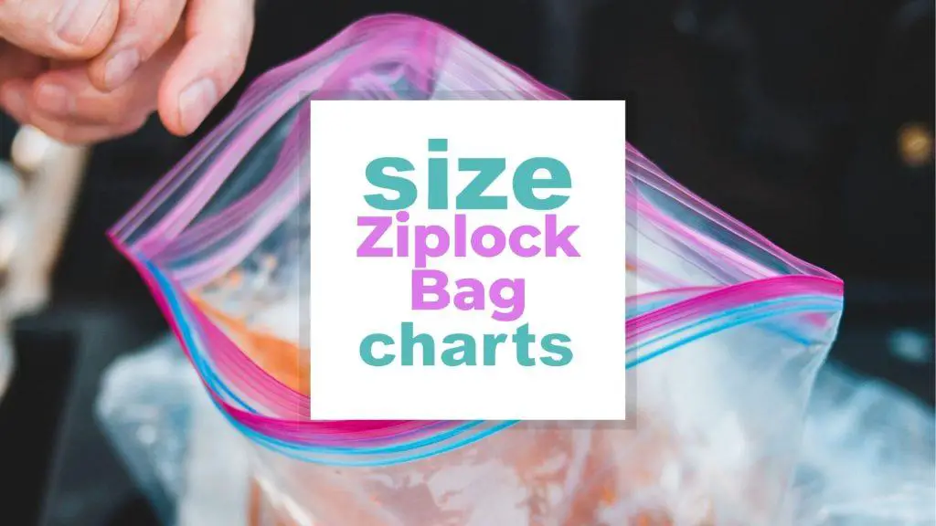 Ziploc Bag Size, a Full Guide with Zipper Storage Bags for all Sizes size-charts.com