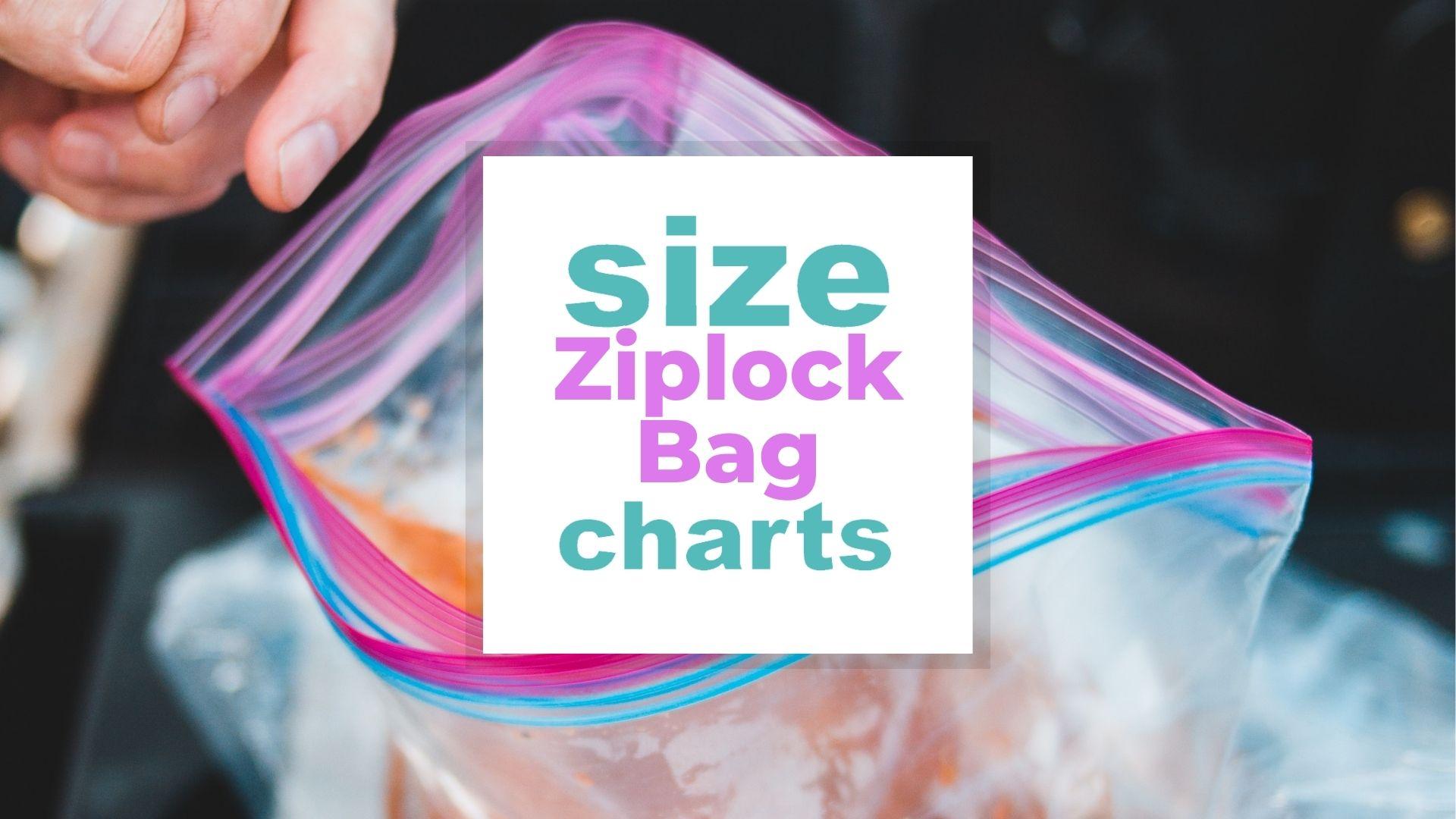 Ziploc Bag Size, a Full Guide with Zipper Storage Bags for all Sizes