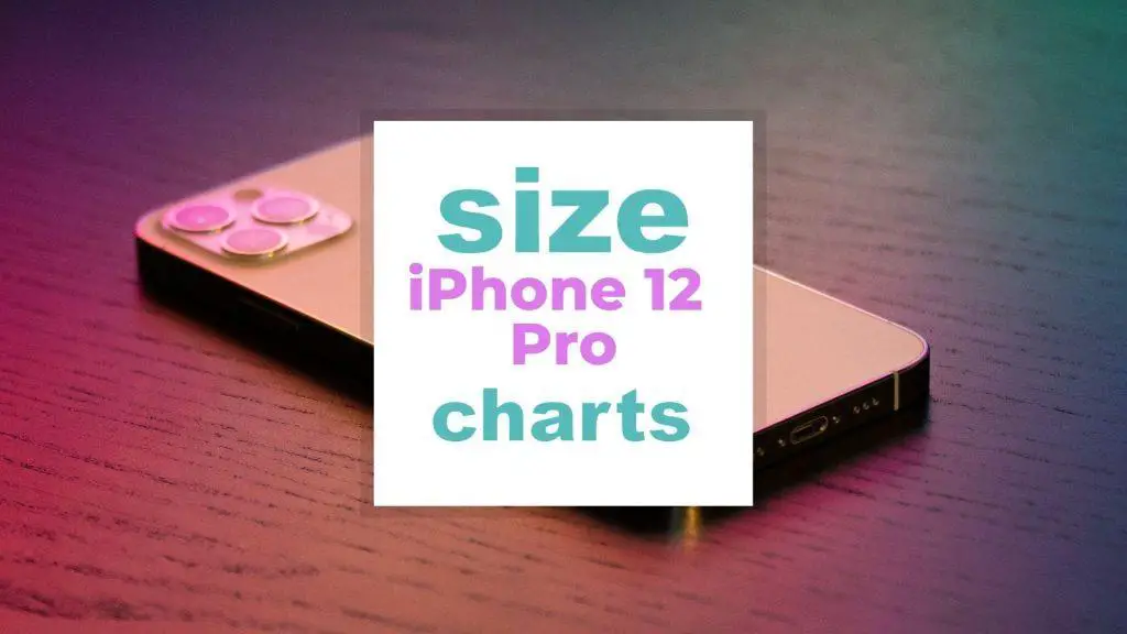 iPhone 12 Pro Size and Screen Dimensions Compared with Other iPhones size-charts.com