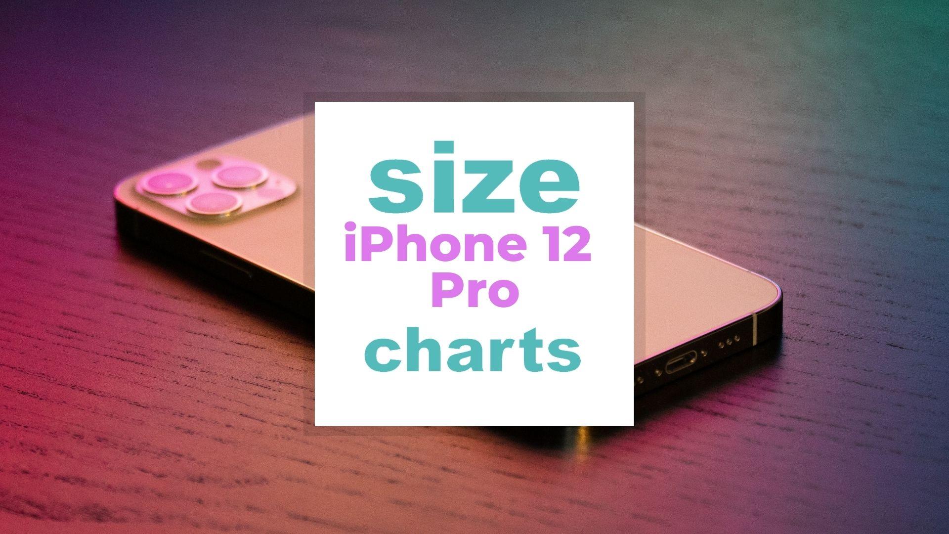 screen size iphone 12 vs 16 pro