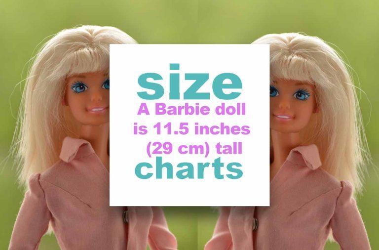 Barbie Doll Size : What are different sizes of Barbie